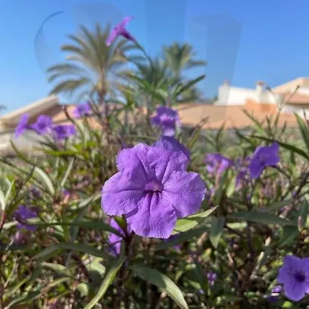 Bungalow Atlantic View Tatil Evi *