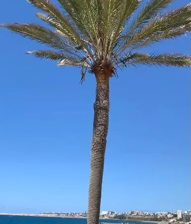 Bungalow Atlantic View Tatil Evi